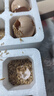 新鮮農家谷物鮮雞蛋  現撿現發(fā) 破損包賠  營(yíng)養早餐 30枚裝（3斤） 曬單實(shí)拍圖