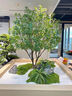 精品馬醉木綠植造景櫥窗植物室內仿真榕樹(shù)裝飾樹(shù)大型假樹(shù)簡(jiǎn)約景觀(guān) 定制尺寸 曬單實(shí)拍圖