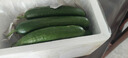 山東荷蘭水果黃瓜健康輕食早餐新鮮蔬菜生鮮單果≥90g 凈重 3斤 暢銷(xiāo)款 曬單實(shí)拍圖