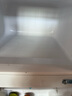 新飛 FRESTEC冰箱小型租房用 一級能效冷 藏冷凍兩用1-2人家用小冰箱 出租房雙門電冰箱辦公室兩門 25年升級 58A118LS一級能效【高性價比】銀 曬單實(shí)拍圖