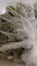 靜益樂源廣西小米蕉 粉蕉 新鮮香蕉水果 凈重4.5-5斤裝 曬單實(shí)拍圖