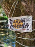 波司登輕薄羽絨服女90絨顯瘦百搭便攜V領(lǐng)防風(fēng)短款可內(nèi)搭馬甲背心 曬單實(shí)拍圖