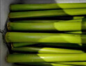 東北甜桿自然清甜新鮮現(xiàn)貨現(xiàn)發(fā)童年回憶特產(chǎn)水果5斤小甘蔗甜蘆粟 5斤 實惠裝 曬單實拍圖