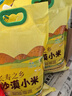 【京配】正宗新疆沙漠小米5斤裝黃小米五谷雜糧月子米新疆直發(fā) 新疆沙漠小米5斤裝*1袋 曬單實(shí)拍圖