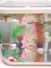 納鳴魚(yú)缸桌面生態(tài)缸小型水族箱帶蓋塑料透明一體成型家用客廳金魚(yú)缸 奶油白-特大號豪華款+增氧泵 曬單實(shí)拍圖