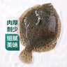 鮮活多寶魚450-550g/條 曬單實拍圖