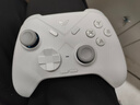飛智冰原狼3  多模版無線游戲手柄 類xbox杠桿霍爾搖桿switch電腦PC手機(jī)steam體感NS 曬單實(shí)拍圖