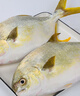 翔泰 海南金鯧魚(yú)凈重900g 2條裝  魚(yú)類(lèi)生鮮 火鍋食材 海鮮水產(chǎn) 中秋 曬單實(shí)拍圖