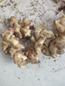 產(chǎn)地直發(fā)云南小黃姜新鮮生姜黃姜調味料新鮮蔬菜生鮮 3斤 裝 曬單實(shí)拍圖