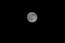適馬（SIGMA）100-400mm F5-6.3 DG DN OS遠攝變焦鏡頭 適馬100-400全畫(huà)幅無(wú)反微單長(cháng)焦鏡頭 100400打鳥(niǎo)風(fēng)光人像索尼E卡口官方標配【12期免息+0元升級套餐一】 曬單實(shí)拍圖