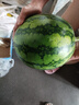 【產(chǎn)地直采】麒麟奶油西瓜 約4.5kg 曬單實(shí)拍圖