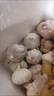 特大河南大蒜頭調料蒜蓉2025年新蒜頭蔬菜 河南中牟農家蒜（50mm - 60mm特大） 1斤【當季干蒜 小份嘗鮮】 曬單實(shí)拍圖