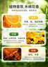 綠傘母嬰可用彩漂粉爆炸鹽2斤 快洗適用植萃潔護洗衣液4斤 曬單實(shí)拍圖