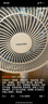 東芝（TOSHIBA）【花信風(fēng)SE】電風(fēng)扇空氣循環(huán)扇0耗材除醛直流變頻電風(fēng)扇靜音臥室超靜音一級能效F-DSC650CN(W) 曬單實拍圖