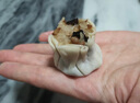 1號會員店 三丁糯米燒賣 紙皮燒賣 營養(yǎng)早餐燒麥 900g 曬單實拍圖