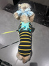 拉夫威爾ruffwear嗨輕狗狗胸背帶狗背帶中小型犬雪納瑞背帶式狗狗牽引繩 鼠尾草綠/霧森綠 S 曬單實(shí)拍圖