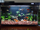 森森金麟超白智能魚(yú)缸小型桌面免換水生態(tài)魚(yú)缸一體缸自循環(huán) 【升級除油膜設計+自動(dòng)喂食+干濕分離】480 曬單實(shí)拍圖