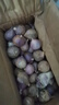 志褚獨(dú)頭蒜大蒜頭 2024云南大理紫皮獨(dú)蒜 精品新鮮現(xiàn)挖濕蒜 1斤裝【珍珠小蒜2.2cm以下】 曬單實(shí)拍圖