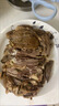 悅初鮮正宗獅頭鵝鹵鵝廣東潮汕頭特產(chǎn)潮州鹵水熟食鵝肉現(xiàn)做真空鹵味廣式 3斤獅頭鵝鹵鵝 曬單實(shí)拍圖