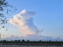 BUV金盞花爽膚水收縮毛孔濕敷去閉口補(bǔ)水保濕精華控油抗皺進(jìn)口七夕 曬單實(shí)拍圖