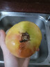 正宗沙瓤西紅柿水果番茄自然熟新鮮蔬菜生鮮減肥 1斤 凈重 曬單實拍圖