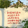 瓷牌茗茶具 富竹蓋碗茶壺茶具整套高檔汝窯功夫泡茶器全套家用開(kāi)片可養茶具 汝窯富竹蓋碗10件套+茶道+茶盤(pán) 曬單實(shí)拍圖