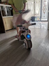 貝趣兒童三輪車(chē)1-3歲腳踏車(chē)寶寶遛娃神器嬰兒推車(chē)溜溜車(chē)三合一手推車(chē) 【安全護(hù)欄+靠背推桿+遮陽(yáng)棚】 綠 推騎兩用0-6歲溜娃小孩自行車(chē) 曬單實(shí)拍圖