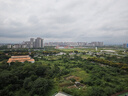 京東京造 醫(yī)護(hù)專業(yè)瞳孔筆燈 黃白紫三色光源耳鼻喉口腔眼科檢查手電筒 曬單實(shí)拍圖