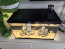 當貝智能生態(tài)魚(yú)缸1Ultra 一體缸自循環(huán)雙過(guò)濾AI托養懶人家用桌面魚(yú)缸 曬單實(shí)拍圖