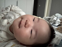 巴厘小豬寶寶連體衣春秋新生兒哈衣爬服小月齡幼兒外出服純棉a類嬰兒衣服 風(fēng)鈴草 80cm 曬單實拍圖