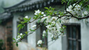 海備思USB轉(zhuǎn)Type-C轉(zhuǎn)接頭A公轉(zhuǎn)usb-c母口OTG手機(jī)u盤高速轉(zhuǎn)換適用電腦iPhone16平板iPad車載充電數(shù)據(jù)線 曬單實(shí)拍圖