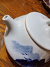 四方亭景德鎮石瓢壺手工茶壺泡茶家用陶瓷功夫茶具套裝大容量青花瓷單壺 石瓢壺 201mL(含)-300mL(含) 曬單實(shí)拍圖
