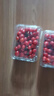 新鮮圣女果小西紅柿小番茄新鮮蔬菜生鮮減肥減脂早餐沙拉現(xiàn)摘現(xiàn)發(fā) 暢享裝 3斤 凈重 曬單實(shí)拍圖