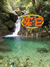 珂潤(rùn)保濕護(hù)膚品水乳套裝（II號(hào)水150mL+乳液120mL）清爽補(bǔ)水滋潤(rùn) 曬單實(shí)拍圖