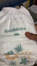 巴布豆（BOBDOG）新菠蘿拉拉褲XXXL32片（18kg以上）嬰兒尿不濕 超薄 曬單實(shí)拍圖