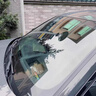 藍海豚汽車(chē)鍍膜劑500ml德國進(jìn)口原液車(chē)漆玻璃鍍膜噴霧疏水抗污提亮防雨 曬單實(shí)拍圖