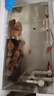金晶超白魚缸客廳桌面小魚缸玻璃草缸龜缸懶人家用生態(tài)造景水族箱 長40CM寬24CM高25CM（厚度5MM） 金晶超白魚缸裸缸 曬單實拍圖