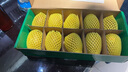 佳沛（zespri）新西蘭陽(yáng)光金果10個(gè)裝單果重約101-124g 中秋水果禮盒 獼猴桃 曬單實(shí)拍圖