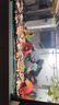 森森 小鯉魚(yú)缸過(guò)濾器凈水循環(huán)三合一內置水族箱過(guò)濾系統XQP-500F 6W 曬單實(shí)拍圖