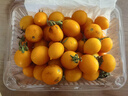 京喜加夏日陽(yáng)光小番茄黃色迷戀圣女果即食水果小柿子現(xiàn)摘現(xiàn)發(fā)減肥 黃色圣女果一斤裝 曬單實(shí)拍圖