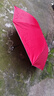 【全網(wǎng)爆款】手動(dòng)UV折疊雨傘男女晴雨傘兩用防曬遮陽(yáng)黑膠傘 【新人福利】7骨 純色隨機無(wú)黑膠 曬單實(shí)拍圖
