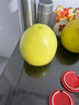 庾豐當季新鮮現(xiàn)摘脆紅李 新鮮水果整箱 孕婦脫骨青紅李子 團購送禮 5斤裝（凈果4.5斤）甄選果 顆顆甄選 產(chǎn)地直發(fā) 曬單實拍圖