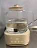 World Kitchen康寧養(yǎng)生壺全玻璃恒溫壺家用多功能辦公室煮茶器燒水壺花茶 1.2L山姆升級款【玻璃壺+茶漏+燉盅】 曬單實拍圖