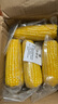 京鮮生東北黃糯玉米棒200g×8根 甜黏玉米 多種包裝隨機發(fā)貨 源頭直發(fā) 曬單實(shí)拍圖