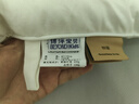 博洋寶貝（Beyond Kids）喬可愛(ài) 兒童枕頭幼兒園枕蕎麥決明子中枕芯 40*60cm 曬單實(shí)拍圖