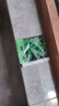 四季食用紫蘇種子薄荷種子細葉苦苣種子家庭四季陽(yáng)臺種植盆栽驅蚊 驅蚊食用薄荷家庭種約1000粒1包 曬單實(shí)拍圖
