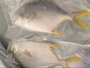 翔泰海南深海金鯧魚(yú)700g 2條 燒烤 火鍋 生鮮魚(yú)類(lèi) BAP認證 海鮮水產(chǎn) 曬單實(shí)拍圖