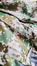 皚虎純棉軍訓服套裝男女迷彩服夏季薄款學(xué)生軍訓服裝迷彩服工作服 曬單實(shí)拍圖