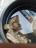 【順豐包郵】原切牛腱子肉新鮮整塊黃牛腱國產(chǎn)農家黃牛牛肉 原切牛腱子5斤 曬單實(shí)拍圖