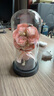 三彩熊永生花擺件生日禮物女生女士鮮花伴手禮送女朋友中秋國慶節禮品 曬單實(shí)拍圖